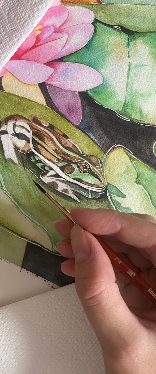 Lily pads and frog watercolour painting by Bethany Taylor