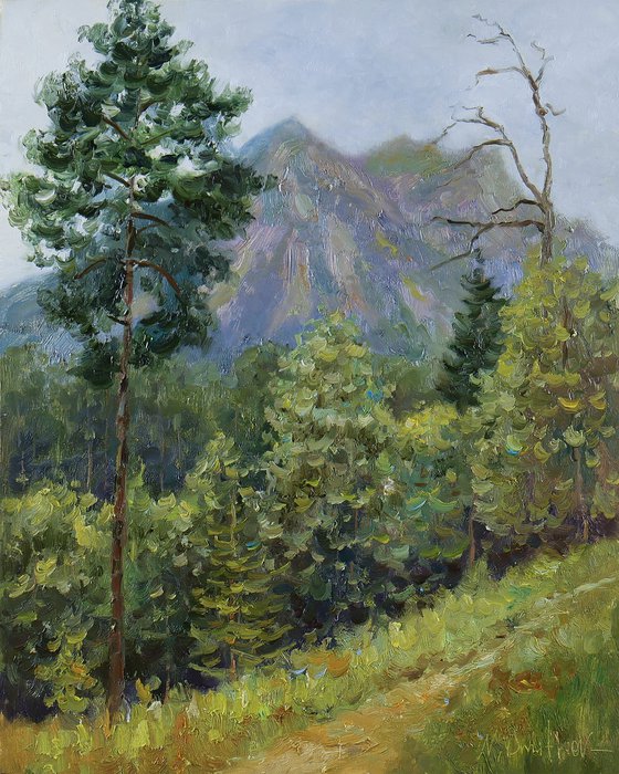 Rain In The Mountains
