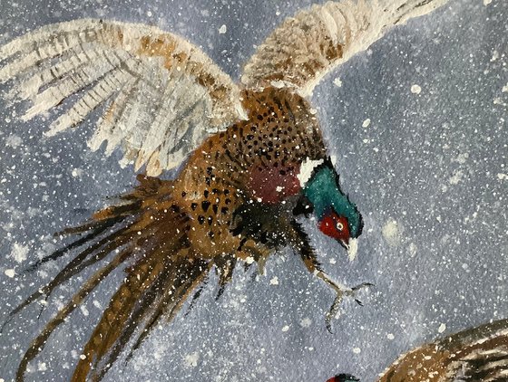 Pheasant’s