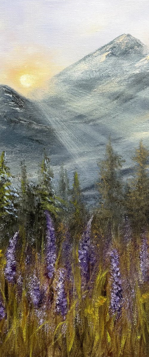 Where the Morning Begins by Tanja Frost