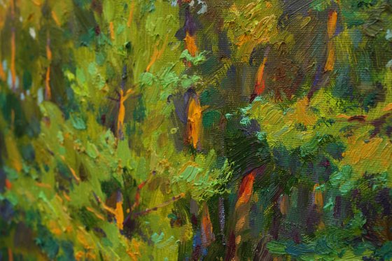 Pine forest