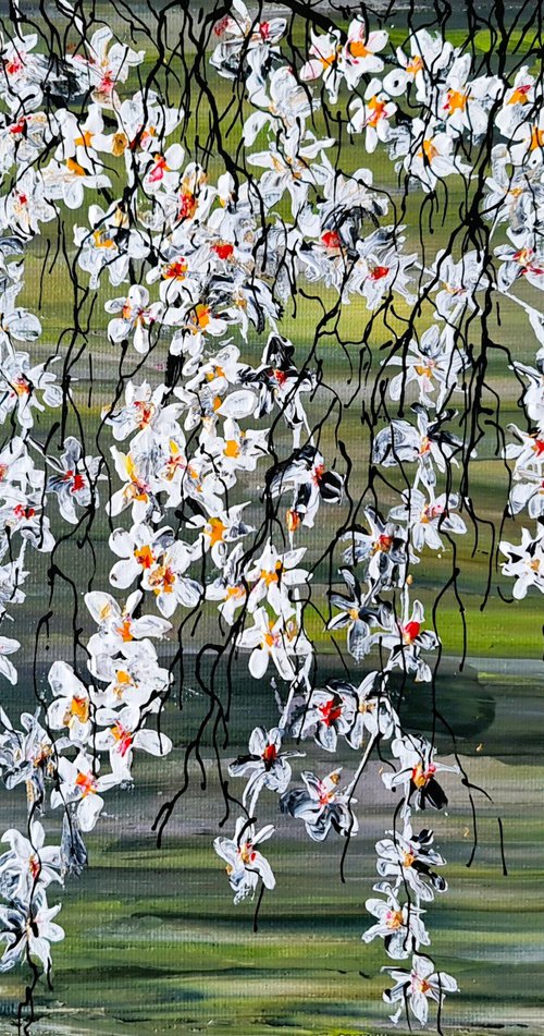 White Cherries 1 by Daniel Urbaník