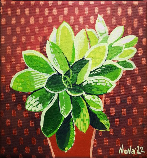 Succulenti by Jelena Nova
