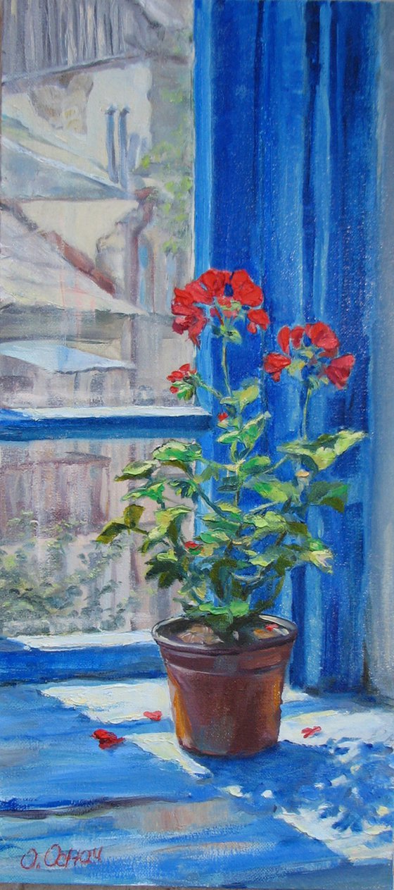 Blue window