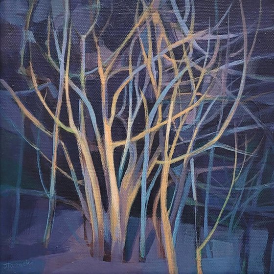 Forest Walk II