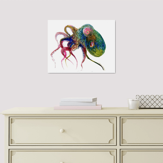 Colorful Octopus