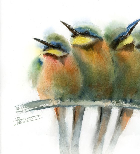 Four bee-eater birds on a branch