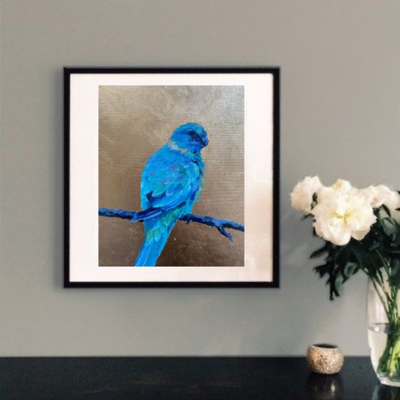 A blue parrot