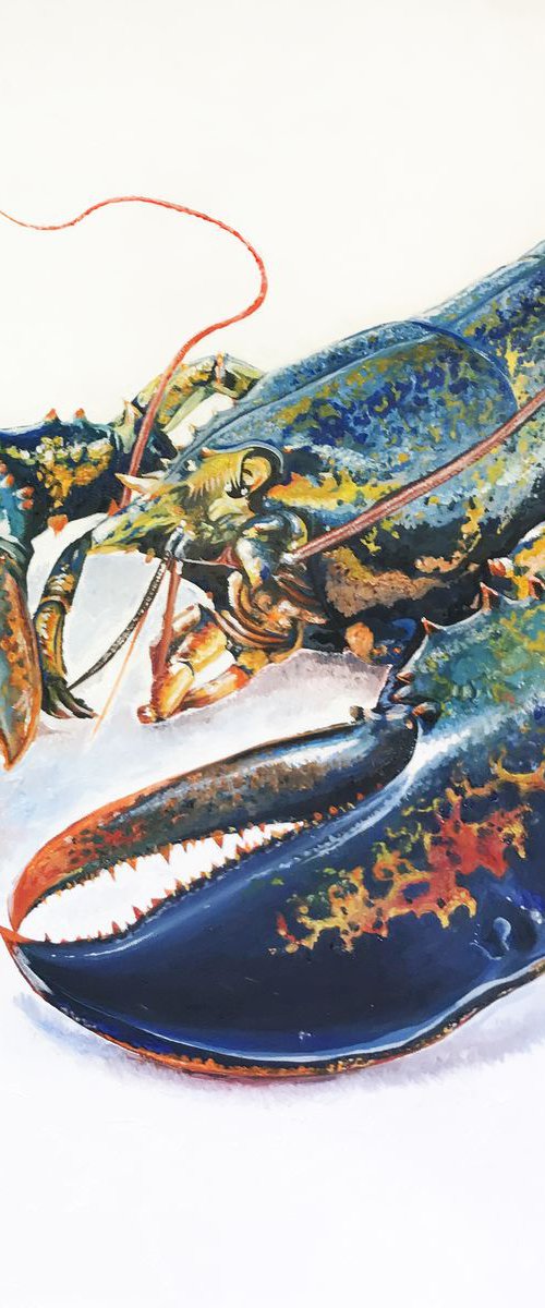 Lobster Rainbow by Lydia Cunningham