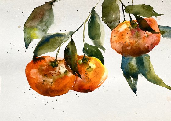 Mandarines. Watercolor sketch