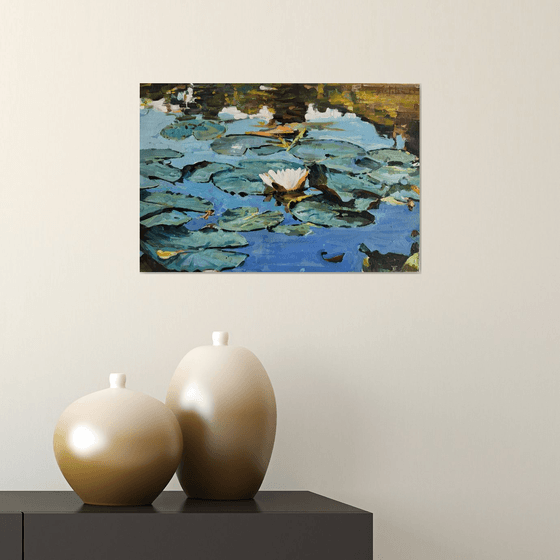 Waterlilies