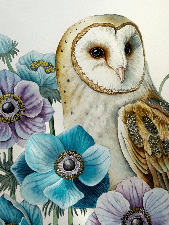 Barn Owl with Anemones