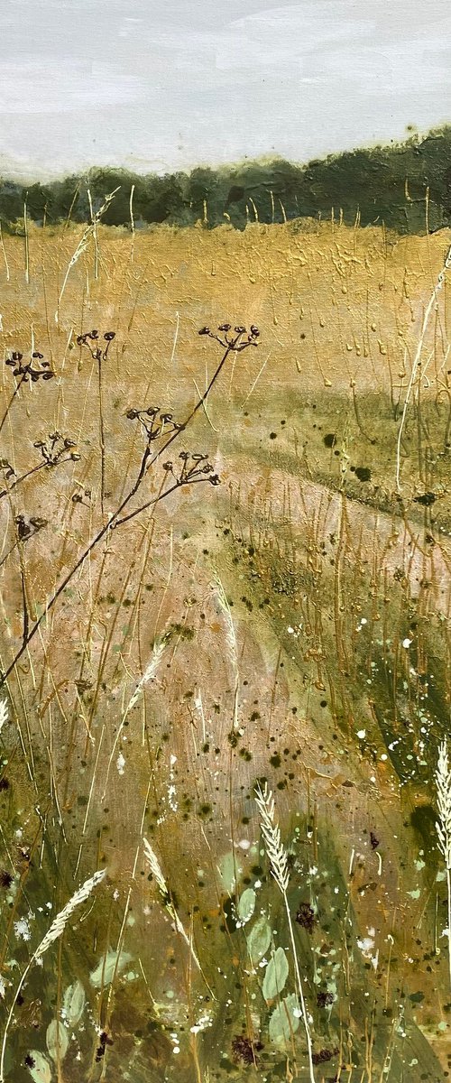 Far Away Places by Elizabeth Westcott
