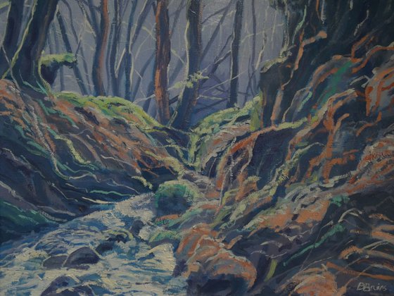 Exmoor wilderness