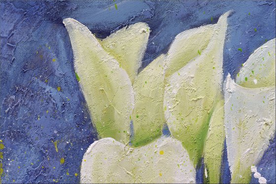 Calla Elegance