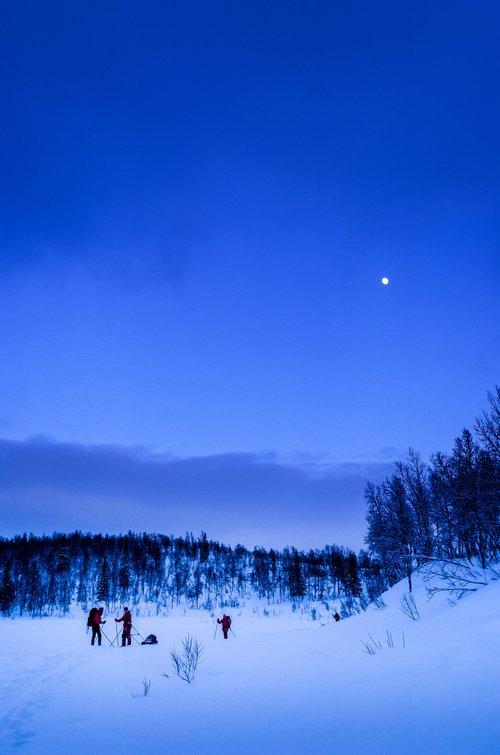Skiing In The Blue Hour I by Tom Hanslien