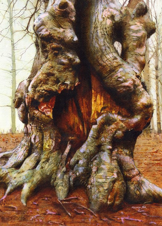 Old Mountain Tree