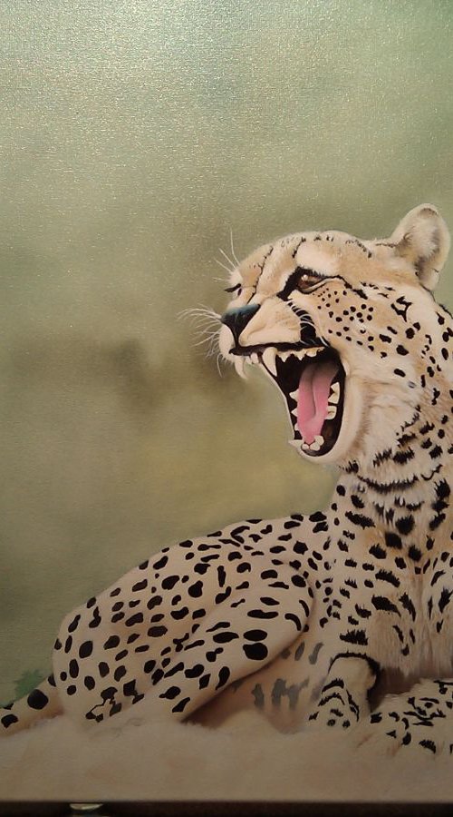 African Cheetah by Bernard Myburgh
