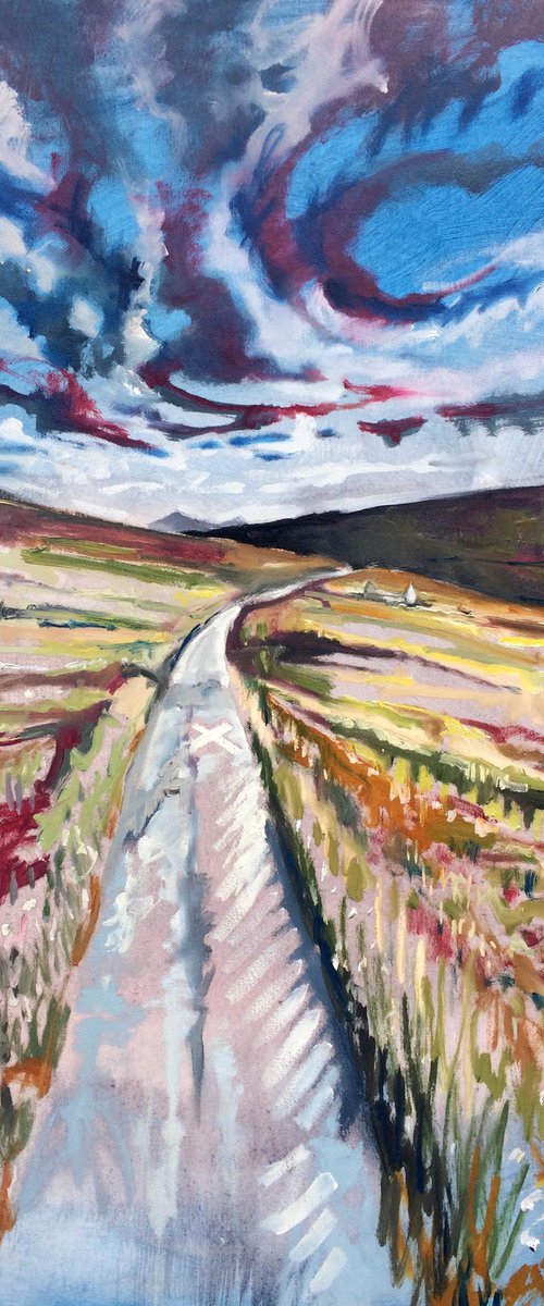Cross Country by Guy  Pickford