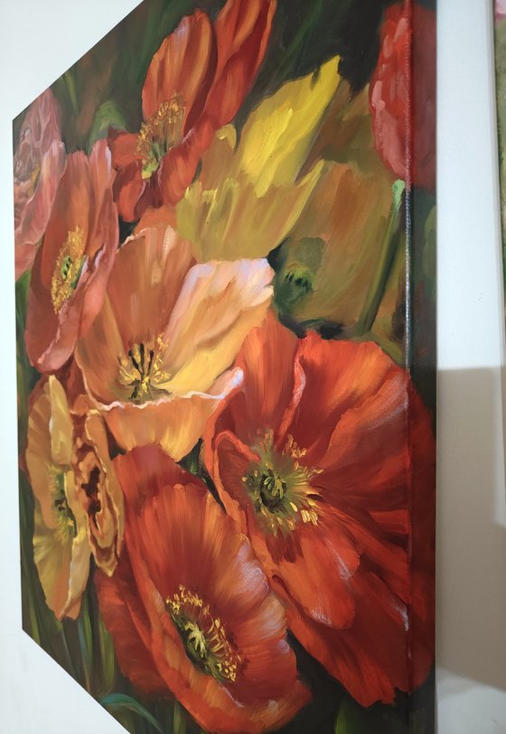 Poppies, Original oil painting