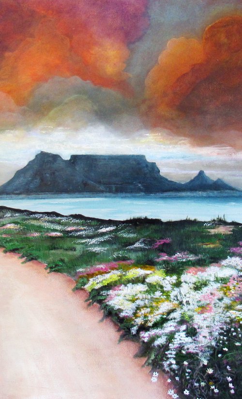 Table Mountain by Geraldo Braga