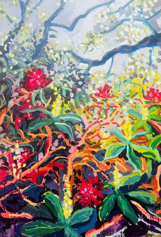 Rhodedendron's in Spring