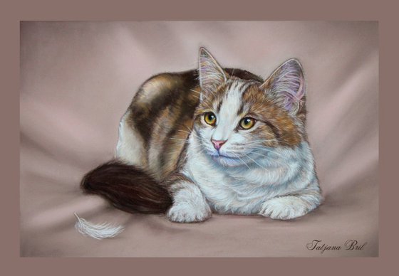 Calico cat