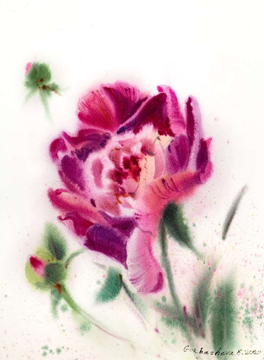 Impressionistic Botanical Watercolour By Eugenia Gorbacheva, 9 X 12, Pink Peony, Original Artwork