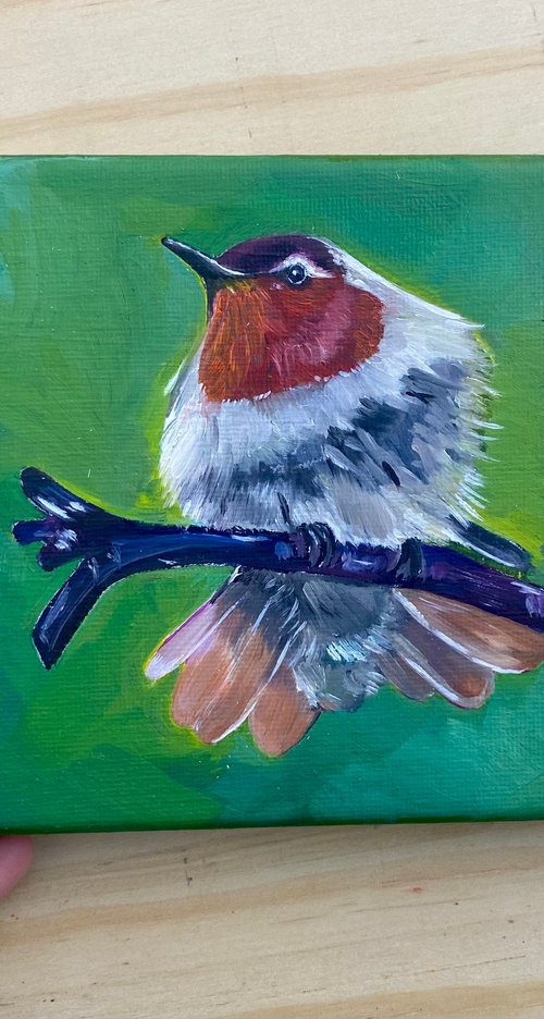 Hummingbird oil painting by Bethany Taylor