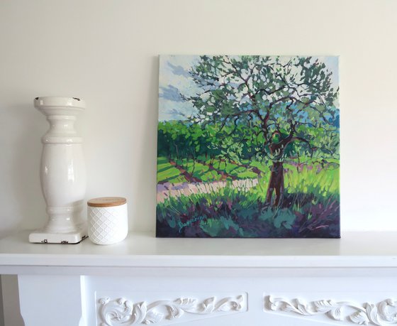 Olive Tree and Vineyard