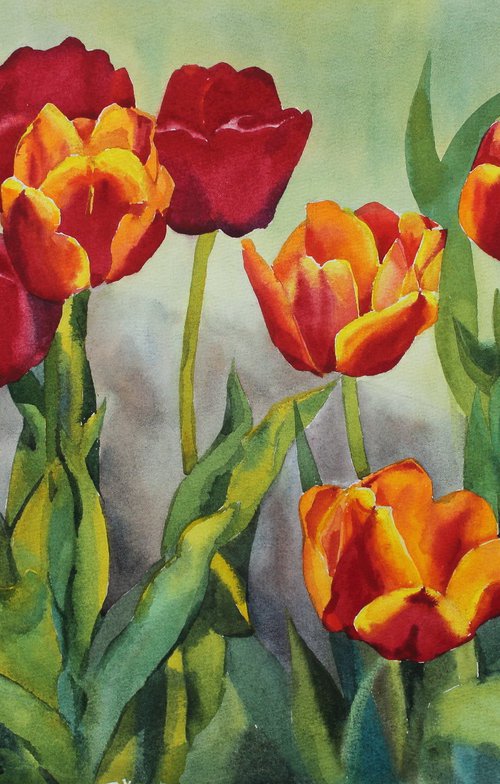 Tulips#2 by Yurii Pashkov