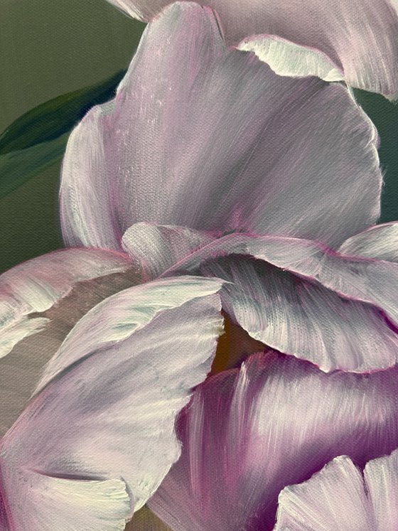 The tenderness of peonies