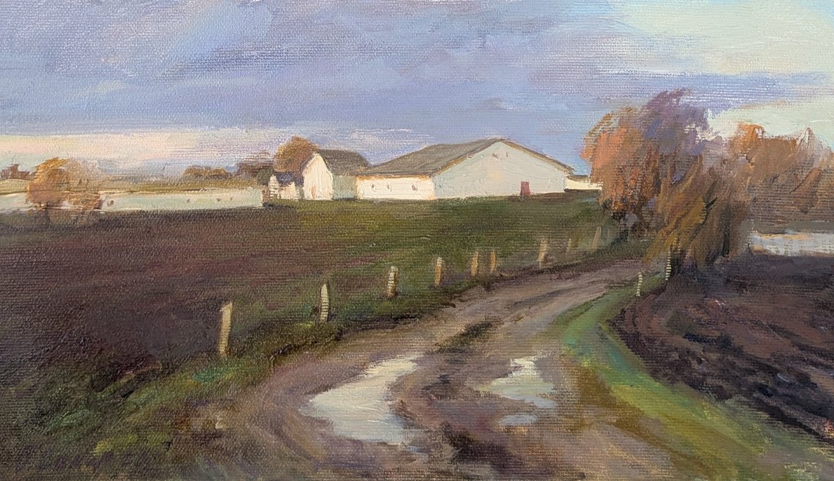 Countryside Evening By Olga Samar, 14 X 8, Artwork For Sale On Artfinder