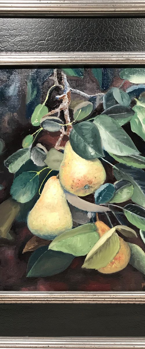 Pears on the Tree (framed) by Donn Poll