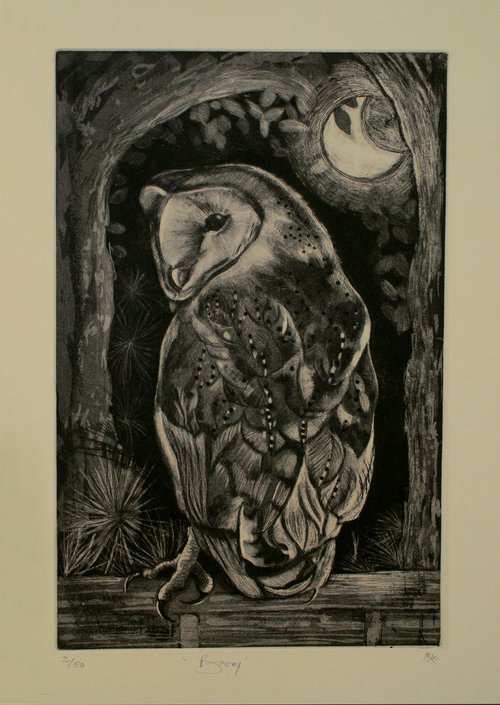 Barn Owl Etching by Isabel Hutchison