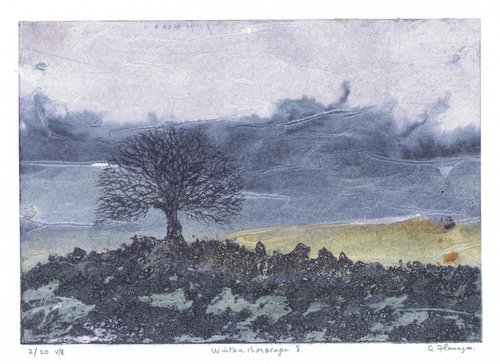 Winter Bogscape 3 -  Ireland by Aidan Flanagan Irish Landscapes