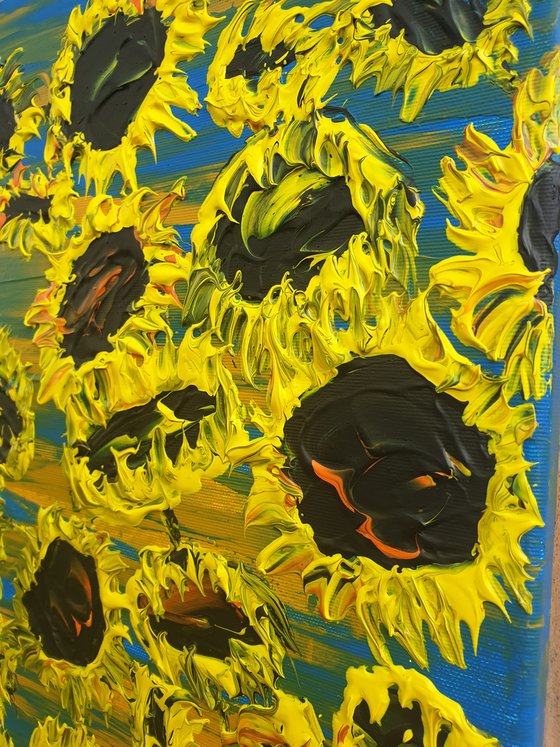 Blooming sunflowers 5