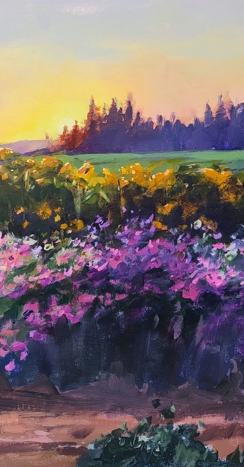 Morning at Wooden Shoe by Kristina Sellers