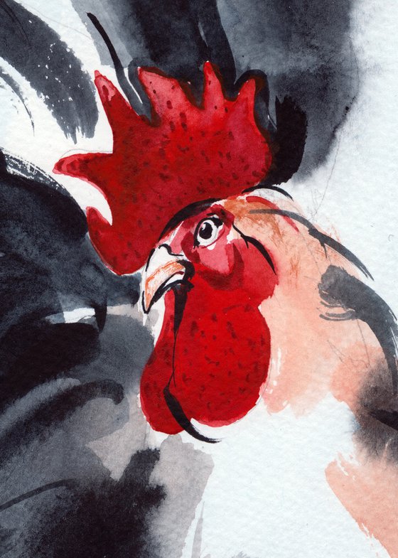 Rooster XVI