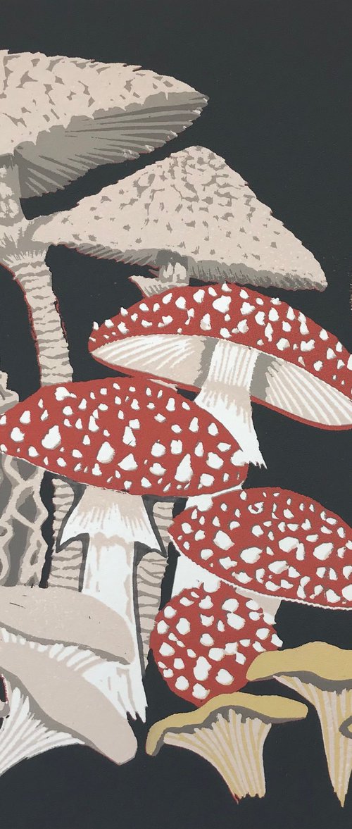 Mushroom medley by Gerry Coles