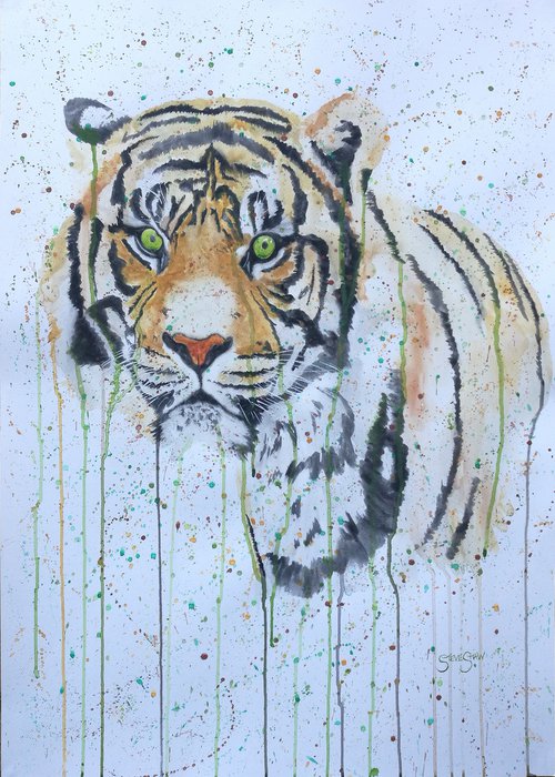 Green Eyed Tiger. A1 sized paper. Free Worldwide Shipping. by Steven Shaw