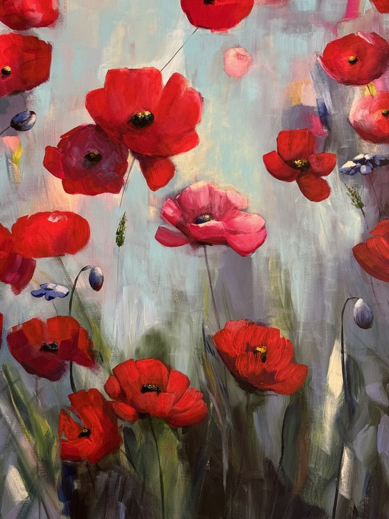 Poppies Land 12