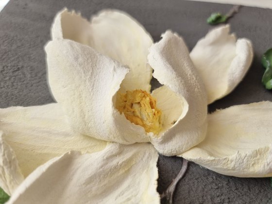 White Magnolia - Flower relief