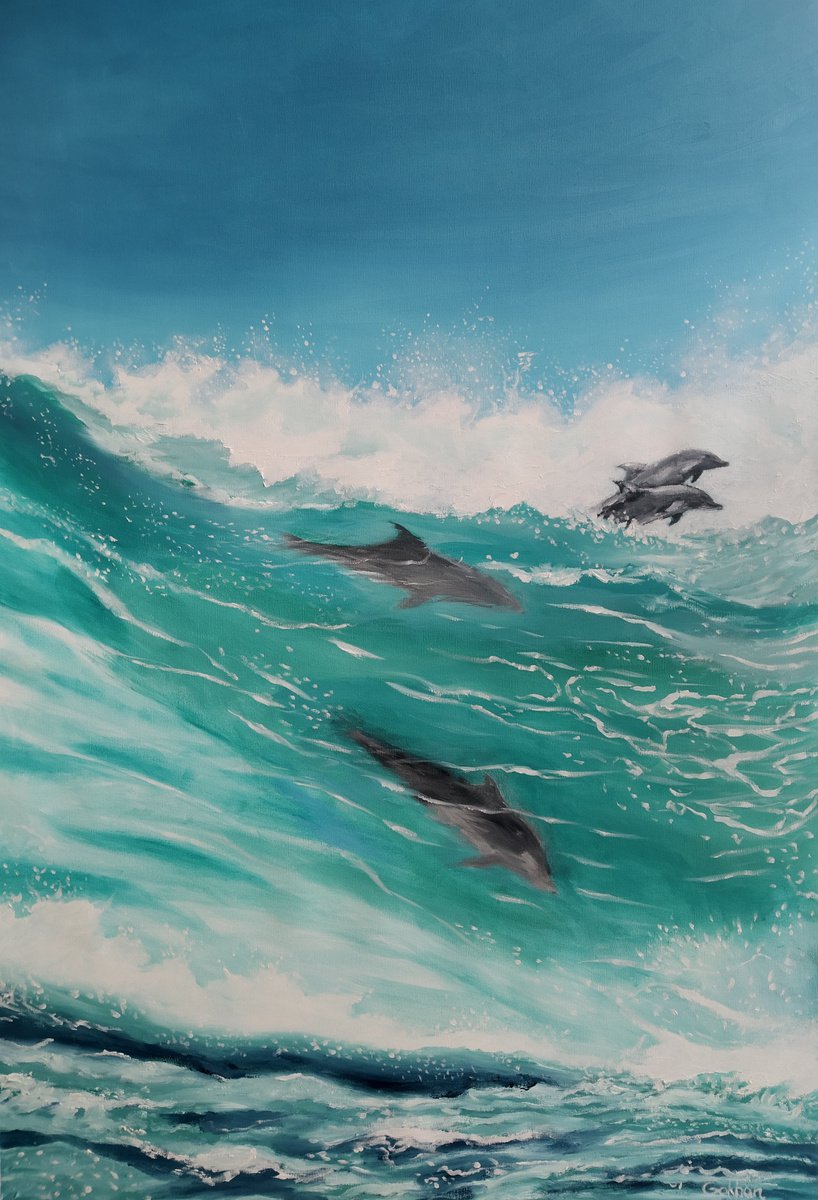 Surfer Dolphins by G.P Alpgiray