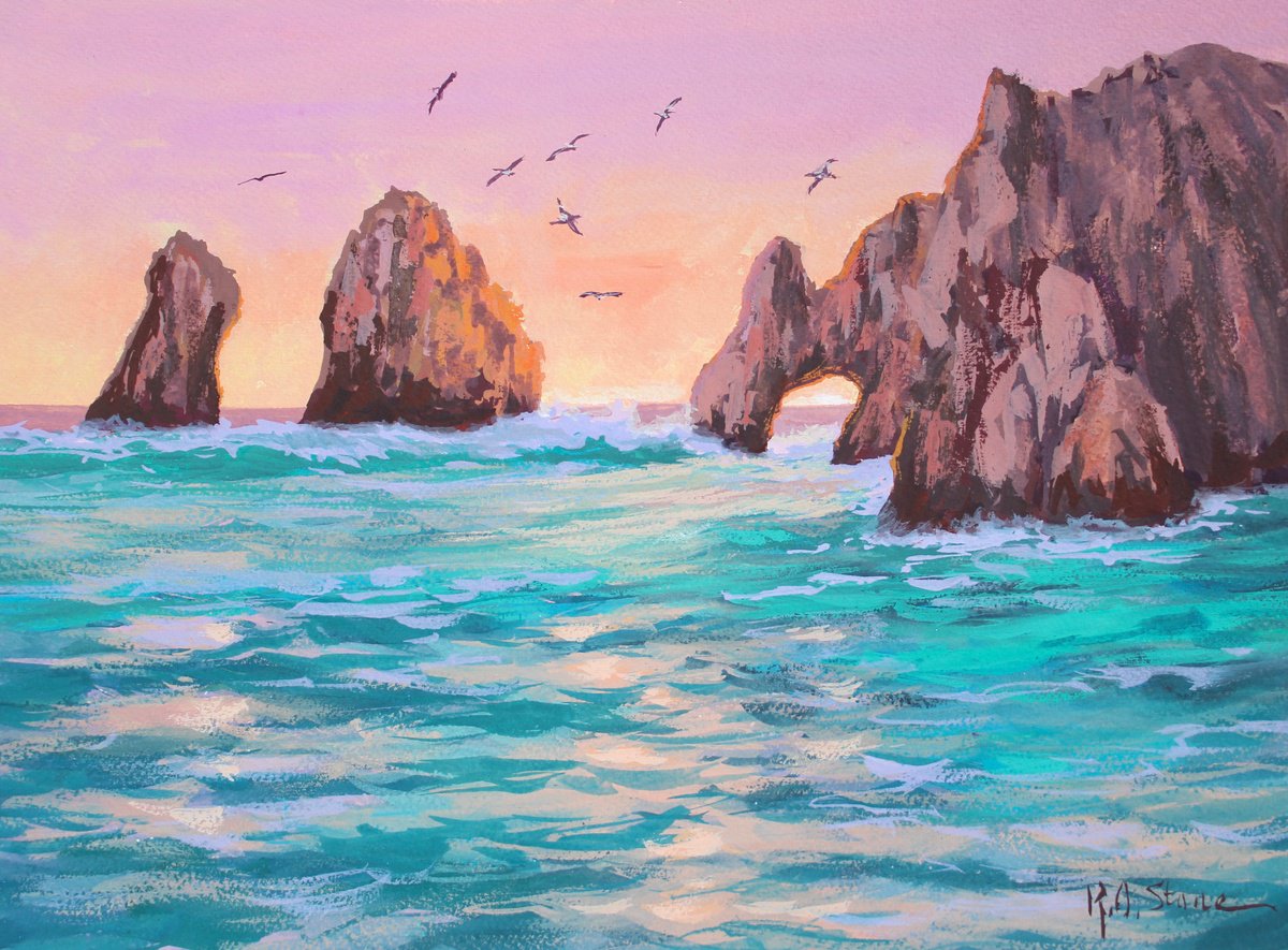 Pelicans Over Cabo San Lucas by Kristen Olson Stone