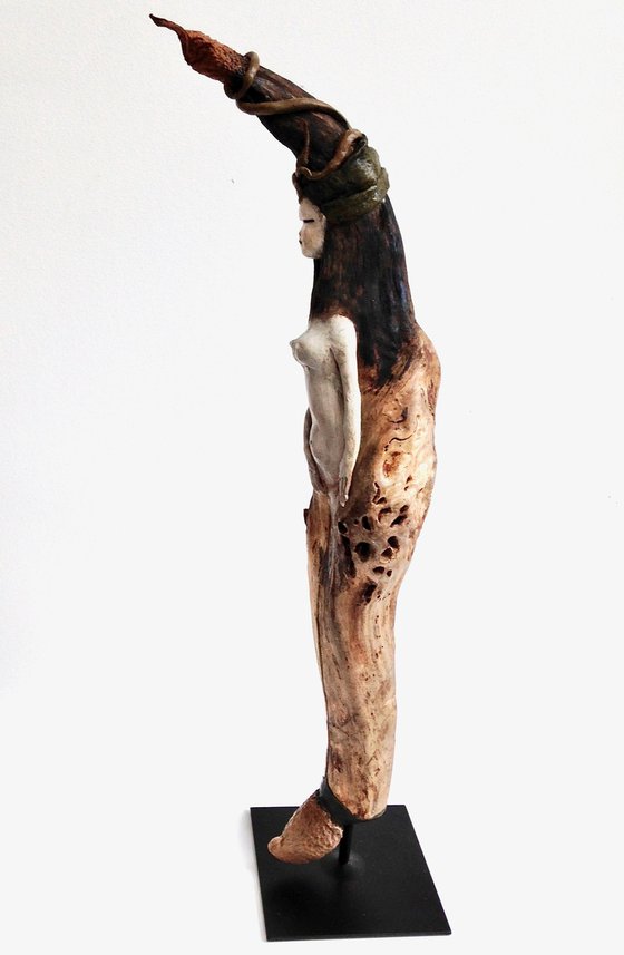 NEPENTHÈS, Ostréïdes series