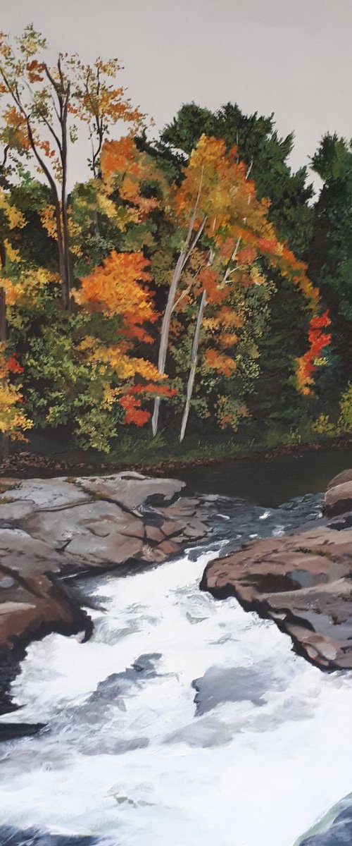 Fall Colours by Anne Shaughnessy
