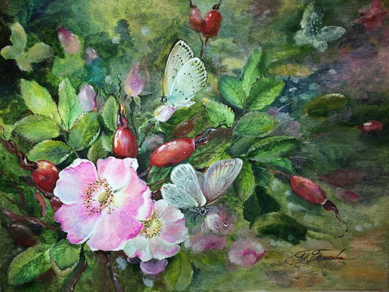 "WILD ROSES "