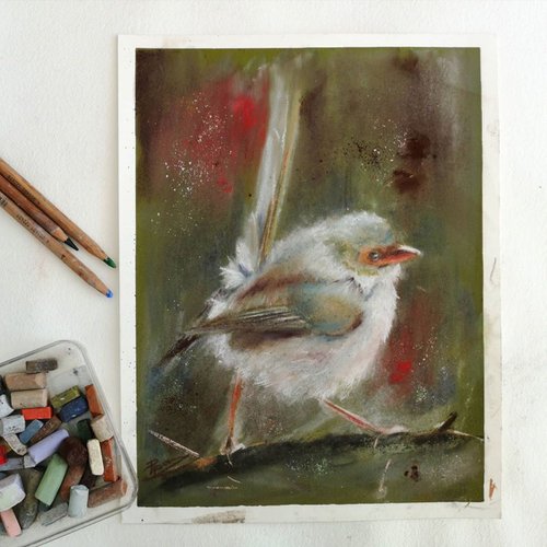 Wren on the branch  (pastel) by Olga Shefranov (Tchefranov)