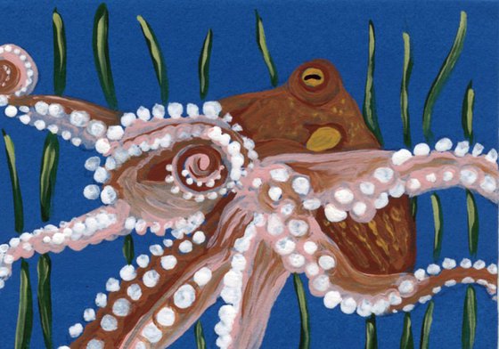 ACEO ATC Original Painting Octopus Marine Wildlife Art-Carla Smale